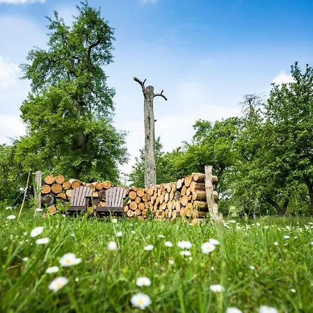 Hotel Schloss Mit Park