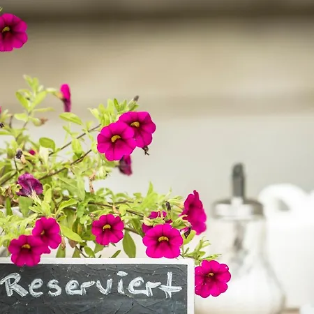 Schloss Mit Park ホテル 3*