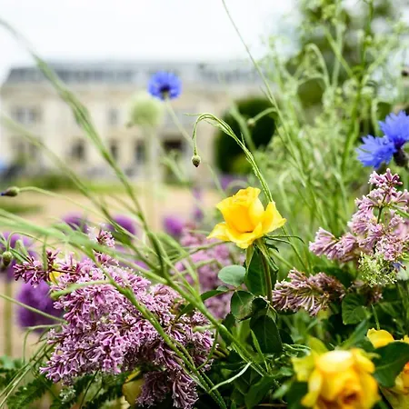 Schloss Mit Park 3*
